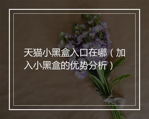 天猫小黑盒入口在哪(加入小黑盒的优势分析)