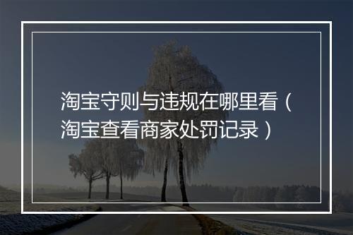 淘宝守则与违规在哪里看(淘宝查看商家处罚记录)