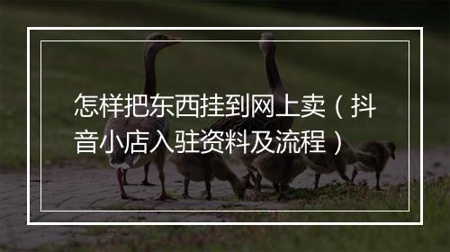 怎样把东西挂到网上卖(抖音小店入驻资料及流程)