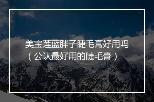 美宝莲蓝胖子睫毛膏好用吗(公认最好用的睫毛膏)