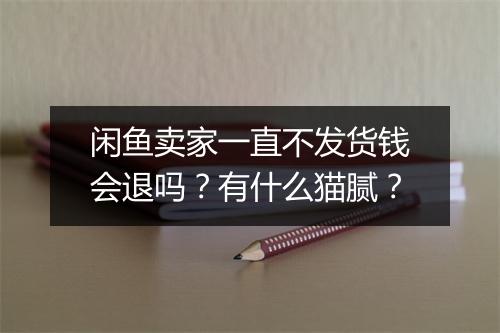 闲鱼卖家一直不发货钱会退吗?有什么猫腻?