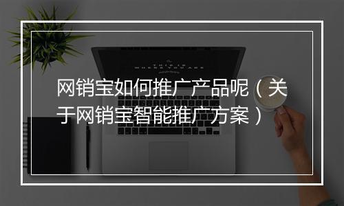 网销宝如何推广产品呢(关于网销宝智能推广方案)