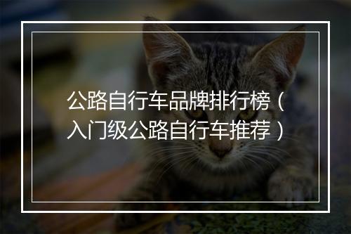 公路自行车品牌排行榜(入门级公路自行车推荐)