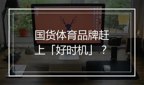 国货体育品牌赶上「好时机」?