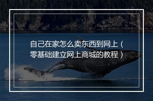 自己在家怎么卖东西到网上(零基础建立网上商城的教程)
