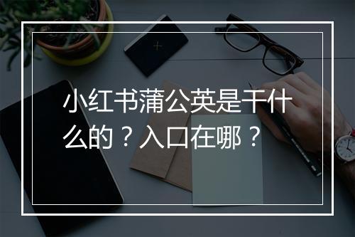 小红书蒲公英是干什么的?入口在哪?