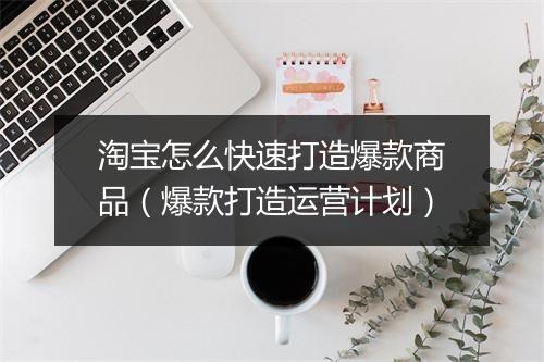 淘宝怎么快速打造爆款商品(爆款打造运营计划)