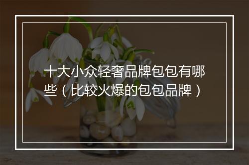 十大小众轻奢品牌包包有哪些(比较火爆的包包品牌)