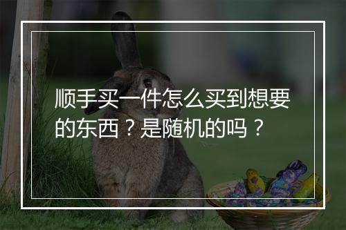 顺手买一件怎么买到想要的东西?是随机的吗?