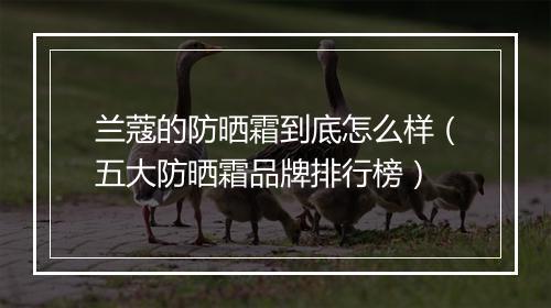 兰蔻的防晒霜到底怎么样(五大防晒霜品牌排行榜)