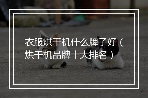衣服烘干机什么牌子好(烘干机品牌十大排名)