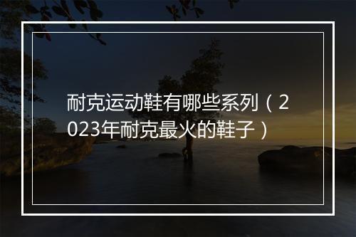 耐克运动鞋有哪些系列(2023年耐克最火的鞋子)