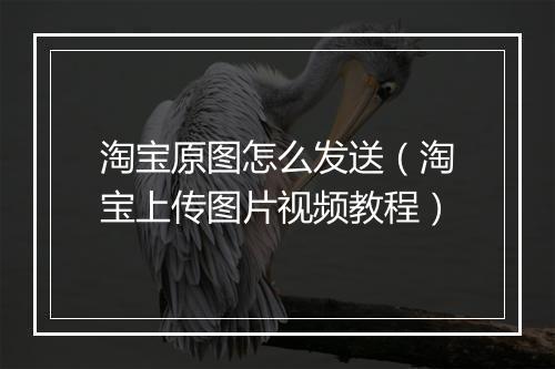 淘宝原图怎么发送(淘宝上传图片视频教程)