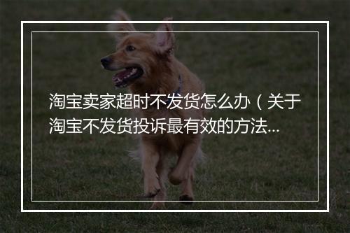淘宝卖家超时不发货怎么办(关于淘宝不发货投诉最有效的方法)
