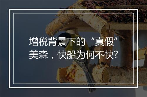 增税背景下的“真假”美森,快船为何不快?