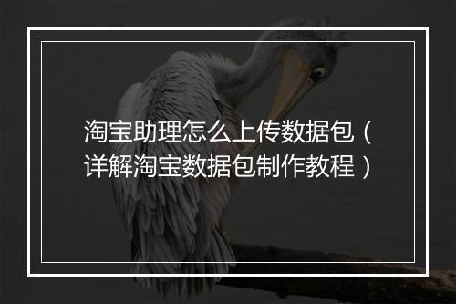 淘宝助理怎么上传数据包(详解淘宝数据包制作教程)