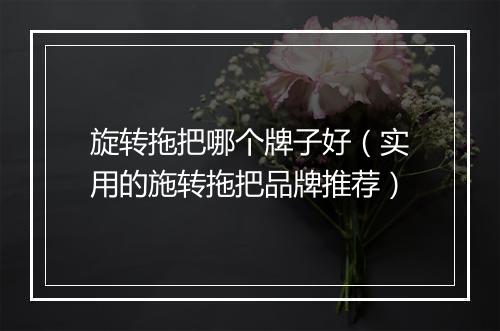 旋转拖把哪个牌子好(实用的施转拖把品牌推荐)