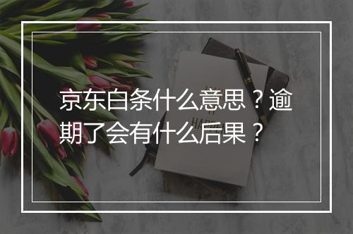 京东白条什么意思?逾期了会有什么后果?