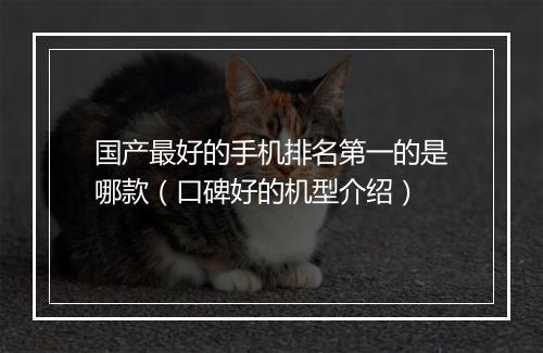 国产最好的手机排名第一的是哪款(口碑好的机型介绍)