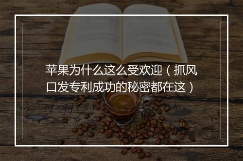 苹果为什么这么受欢迎(抓风口发专利成功的秘密都在这)