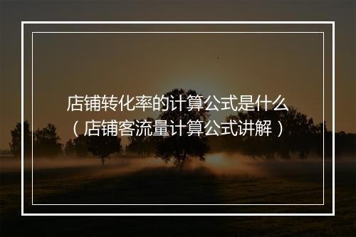 店铺转化率的计算公式是什么(店铺客流量计算公式讲解)