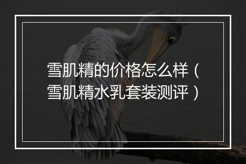 雪肌精的价格怎么样(雪肌精水乳套装测评)