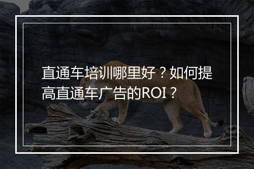 直通车培训哪里好?如何提高直通车广告的ROI?