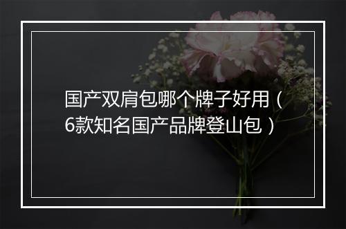 国产双肩包哪个牌子好用(6款知名国产品牌登山包)