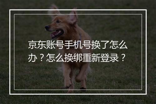 京东账号手机号换了怎么办?怎么换绑重新登录?