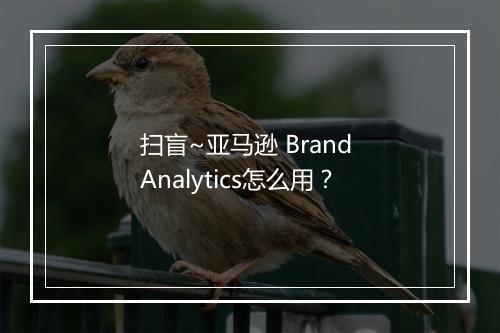 扫盲~亚马逊 Brand Analytics怎么用?