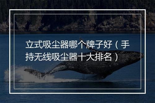 立式吸尘器哪个牌子好(手持无线吸尘器十大排名)