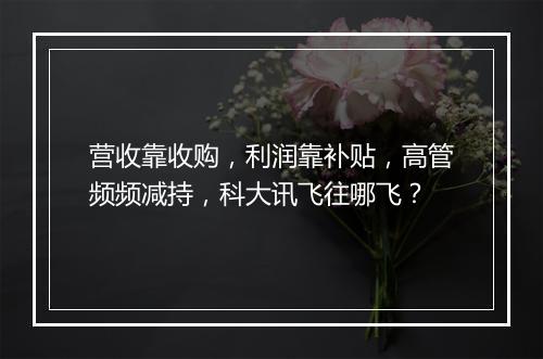 营收靠收购,利润靠补贴,高管频频减持,科大讯飞往哪飞?