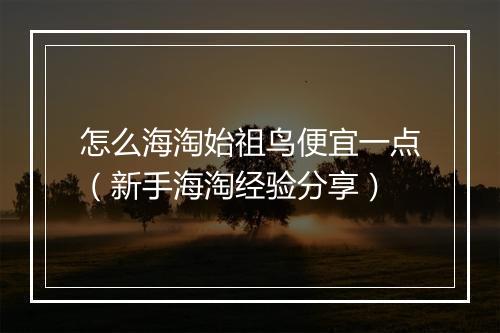 怎么海淘始祖鸟便宜一点(新手海淘经验分享)