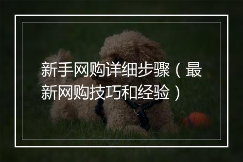 新手网购详细步骤(最新网购技巧和经验)