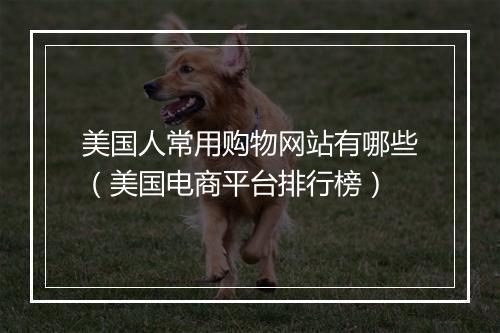 美国人常用购物网站有哪些(美国电商平台排行榜)