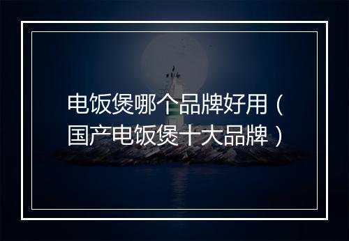 电饭煲哪个品牌好用(国产电饭煲十大品牌)