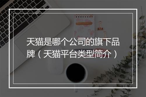 天猫是哪个公司的旗下品牌(天猫平台类型简介)