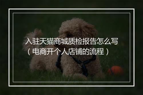 入驻天猫商城质检报告怎么写(电商开个人店铺的流程)