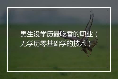 男生没学历最吃香的职业(无学历零基础学的技术)