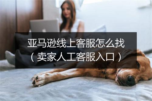 亚马逊线上客服怎么找(卖家人工客服入口)