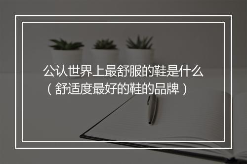 公认世界上最舒服的鞋是什么(舒适度最好的鞋的品牌)