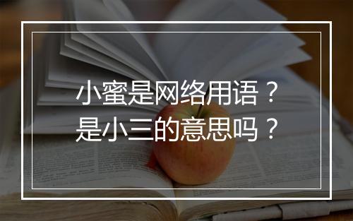 小蜜是网络用语?是小三的意思吗?