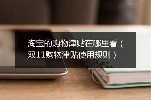 淘宝的购物津贴在哪里看(双11购物津贴使用规则)
