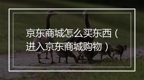 京东商城怎么买东西(进入京东商城购物)