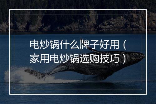 电炒锅什么牌子好用(家用电炒锅选购技巧)