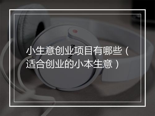 小生意创业项目有哪些(适合创业的小本生意)