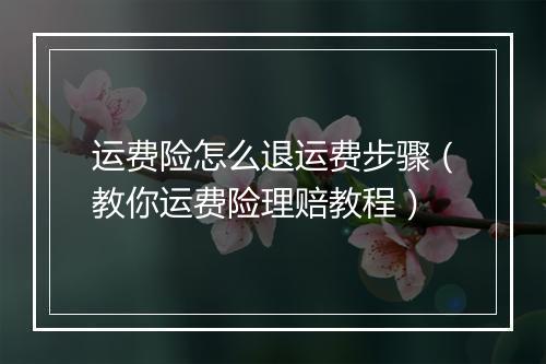 运费险怎么退运费步骤(教你运费险理赔教程)