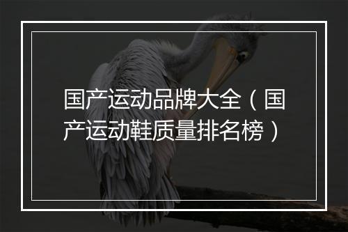 国产运动品牌大全(国产运动鞋质量排名榜)