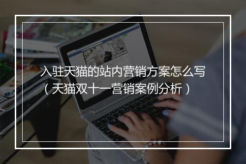 入驻天猫的站内营销方案怎么写(天猫双十一营销案例分析)