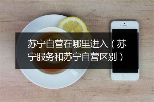 苏宁自营在哪里进入(苏宁服务和苏宁自营区别)